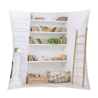 Personality  Collection Of Books And Decor Elements On Shelves Indoors. Interior Design Pillow Covers