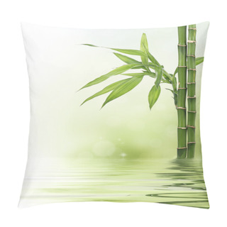 Personality  Lucky Bamboo Design Border Pillow Covers