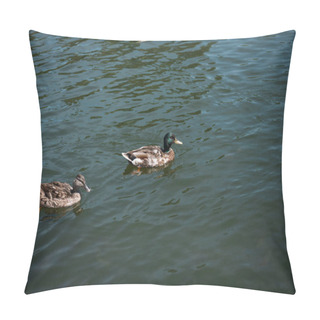 Personality  Two Wild Ducks Swimming On River Pillow Covers