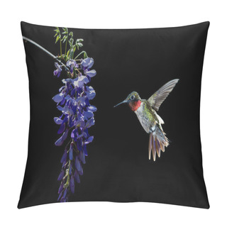 Personality  Hummingbird Feeding From Acacia Flower Pillow Covers