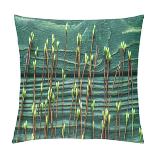 Personality  Top View Of Wooden Green Background With Blossoming Branches, Panoramic Shot  Pillow Covers