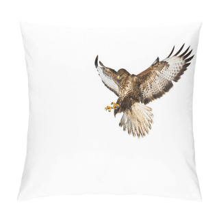 Personality  Wild Common Buzzard In Flight Catching With Claws Isolated On White Background Pillow Covers
