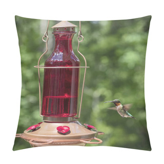 Personality  Ruby-throated Hummingbird  Pillow Covers