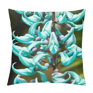 Personality  Detail Of Tropical Philippines Jade Vine Liana - Strongylodon Macrobotrys Pillow Covers