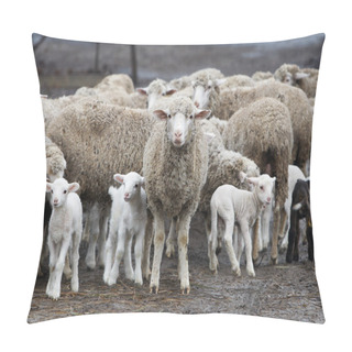 Personality  Flock Of Sheep Pillow Covers
