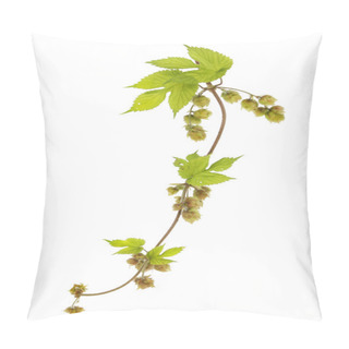 Personality  Hop Vine Pillow Covers
