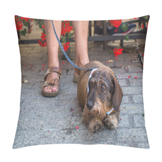 Personality  Parade Costumed Sausage Dogs Pillow Covers