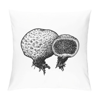Personality  Puffball Mushroom Illustration, Drawing, Engraving, Line Art Pillow Covers