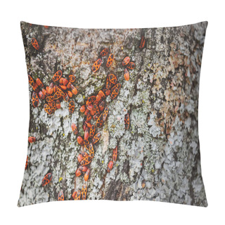 Personality  Full Frame Image Of Tree Trunk With Colony Of Firebugs  Pillow Covers