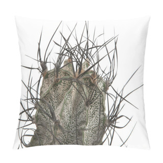 Personality  Astrophytum Capricorne Cactus Pillow Covers