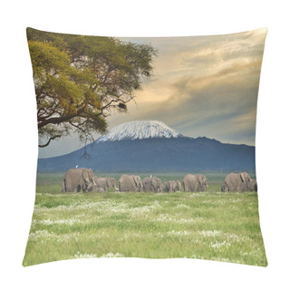 Personality  Elephants In The Amboseli And Tsavo West National Park In Kenya Pillow Covers