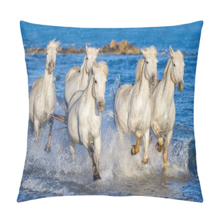 Personality  White Camargue Horses Galloping On Blue Water Of The Sea. France. Pillow Covers