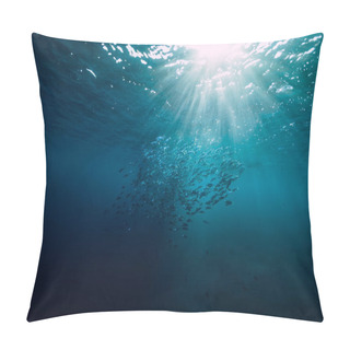 Personality  Underwater View With School Fish In Ocean. Sea Life In Transpare Pillow Covers