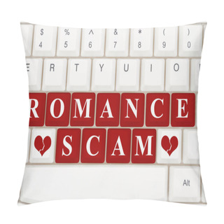 Personality  Dating Scams On The Internet Pillow Covers