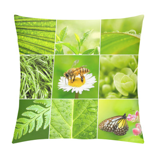 Personality  Spring. Pillow Covers