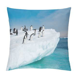 Personality  Adelie Penguins Jumping From Iceberg Pillow Covers