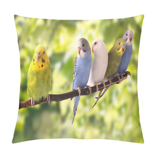 Personality  The Colorful Budgies Are On A Green Background Pillow Covers