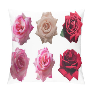 Personality  Three Color Rose Flowers On White Background, Nature, Object, Vintage Pillow Covers