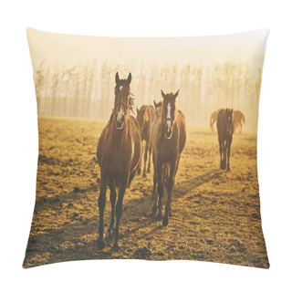 Personality  Herd Of Horses On Field Against Landscape At Golden Sunset, Czech Republic Pillow Covers