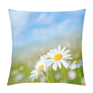 Personality  Beautiful Camomille Pillow Covers