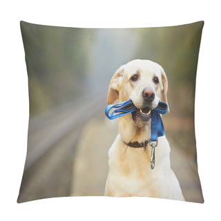 Personality  Dog On The Railway Platform Pillow Covers