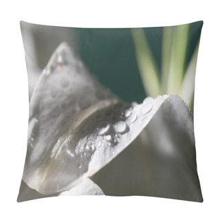 Personality  Close Up View Of White Petal Of Lily Flower With Water Drops Pillow Covers