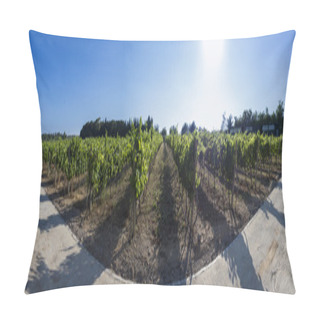 Personality  Vineyard Panorama Pillow Covers