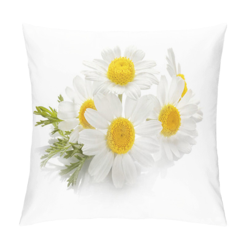 Personality  Beautiful chamomile flowers  pillow covers