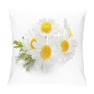 Personality  Beautiful Chamomile Flowers  Pillow Covers