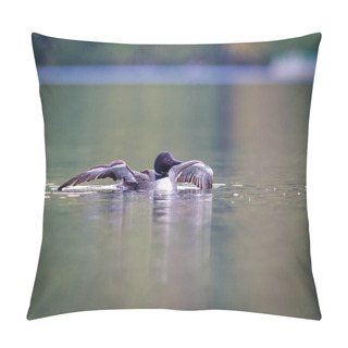 Personality  Common Loon, Quebec Canada. Pillow Covers