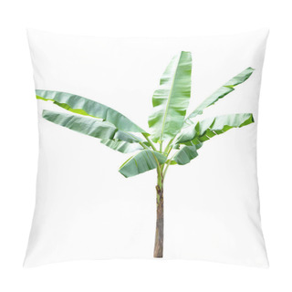 Personality  Banana Tree Isolated On White Background Pillow Covers