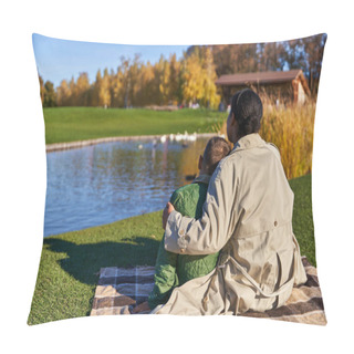 Personality  Bonding Between Mother And Child, Positive African American Woman Hugging Boy, Pond, Swans Pillow Covers