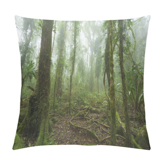 Personality  Mossy Australian Rainforest Pillow Covers
