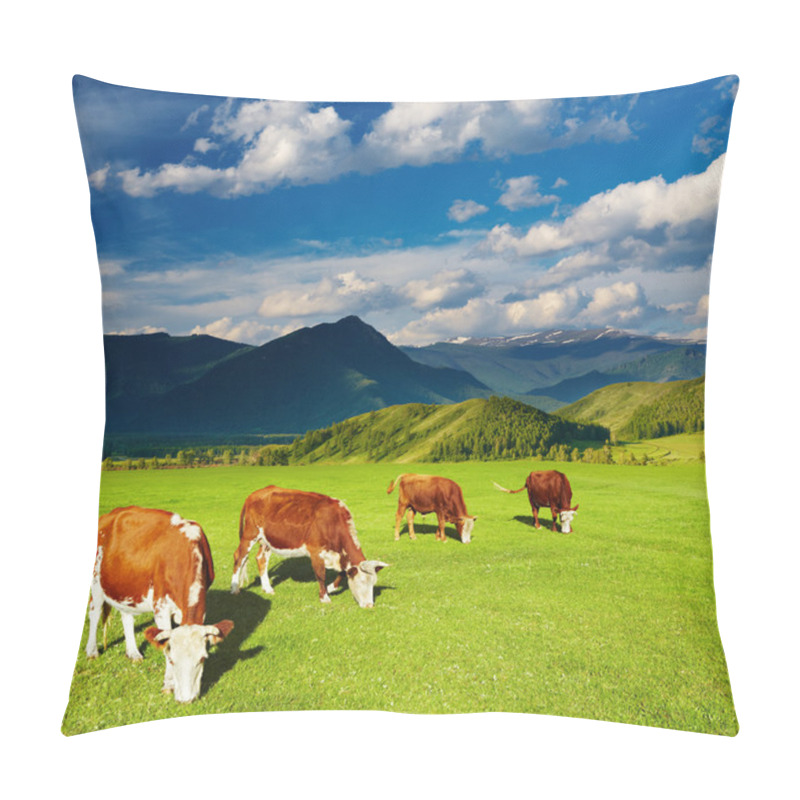Personality  Grazing cows pillow covers