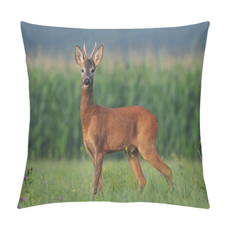 Personality  Roe Deer Pillow Covers