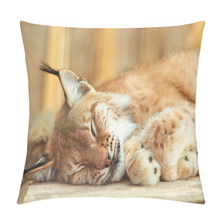 Personality  Close-up Of  Bobcat Sleeping Pillow Covers