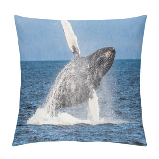 Personality  Jumping Humpback Whale Pillow Covers