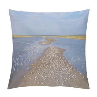 Personality  Colony Of Seagulls In Danube Delta, Romania Pillow Covers