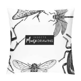 Personality  Vector Background With Hand Drawn Insects Illustrations.Vintage Butterfly, Cicada, Beetle, Bug, Dragonfly Drawing. Entomological Vector Template Design. Pillow Covers