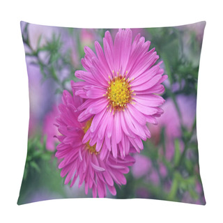Personality  Cushion Asters In Pink (aster Dumosus) Pillow Covers