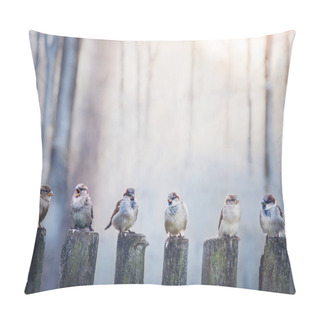 Personality  Sparrows In A Row On Wooden Fence. Birds Photography Pillow Covers