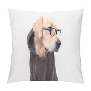 Personality  A Dog With Glasses In A Dark Gray Sweatshirt Sits On A White Background. Golden Retriever Dressed As A Programmer Or Student. Pillow Covers