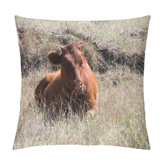 Personality  Cow On Grass Desert Pillow Covers