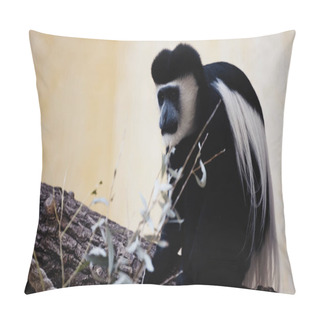 Personality  Black And White Monkey Sitting On Wooden Branch Near Blurred Leaves In Zoo  Pillow Covers