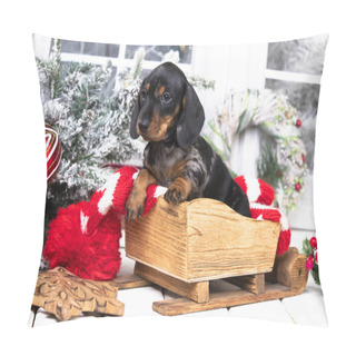 Personality  Puppy Dachshund, New Year's Puppy, Christmas Dog, Christmas Dachshunds  Pillow Covers