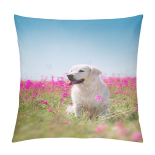 Personality  Dog Golden Retriever In Flowers Pillow Covers