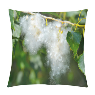 Personality  Poplar Fluff Pillow Covers