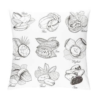 Personality  Engraved Nuts Isolated. Set Of Mixed Nuts. Pillow Covers