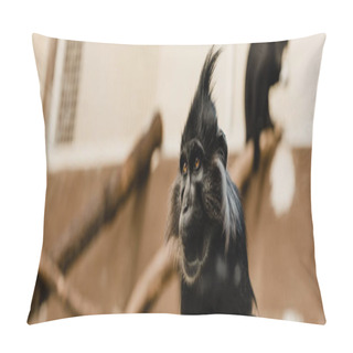 Personality  Panoramic Shot Of Black Monkey In Zoo Pillow Covers