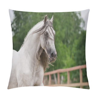 Personality  Andalusian Horse In Movement Pillow Covers